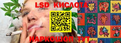 a pvp Краснознаменск