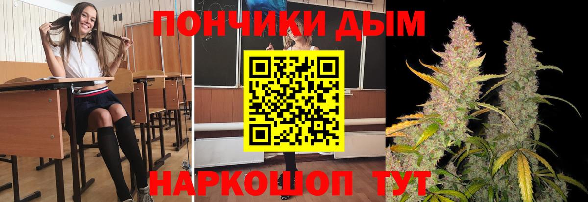 Бошки Шишки THC 21% Ишим